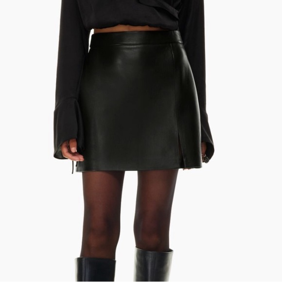 Patio Wilfred Mini Skirt - Aritzia Vegan Leather - Picture 1 of 7